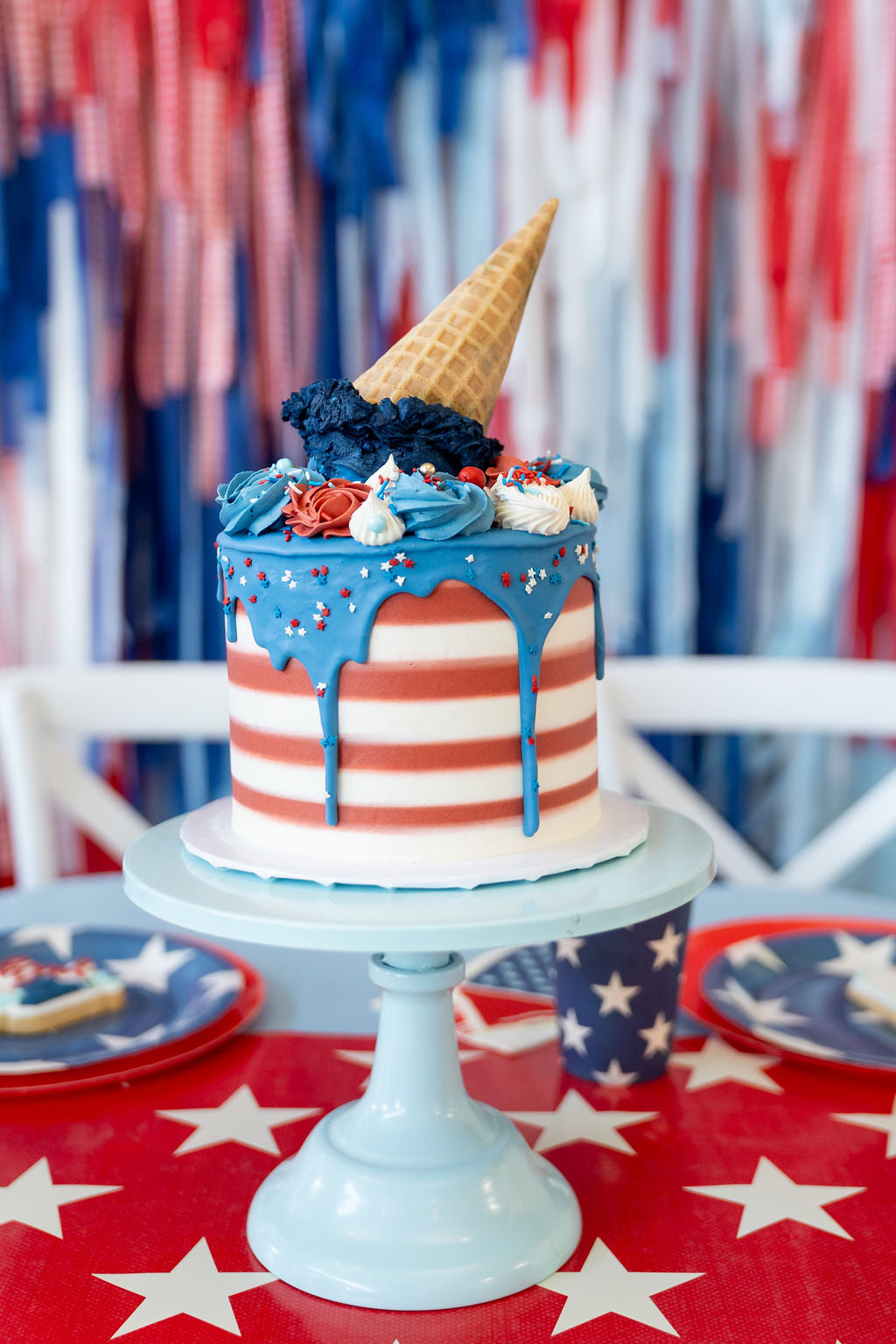 Picnic on the 4th of July Fringe Backdrop-Backdrops-Oh My Darling Party Co