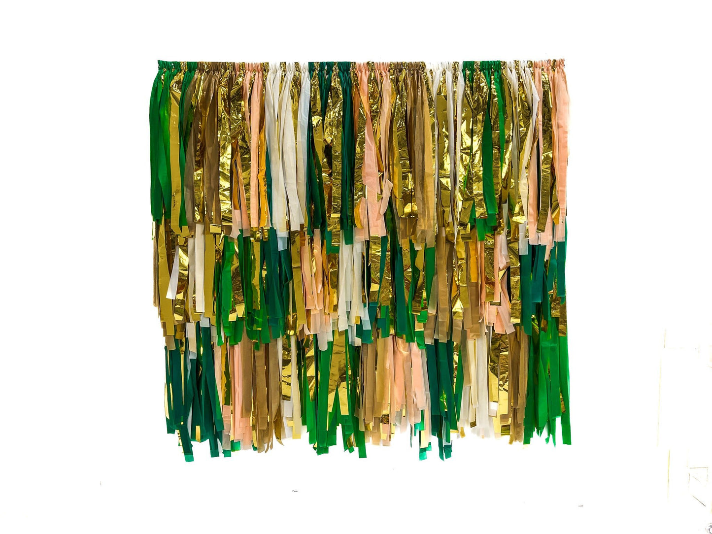 Wild In The Jungle Fringe Backdrop - Oh My Darling Party Co-boy partydefaultdino #Fringe_Backdrop#