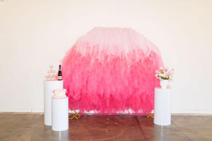 You're a Doll Tulle Semi Circle Backdrop