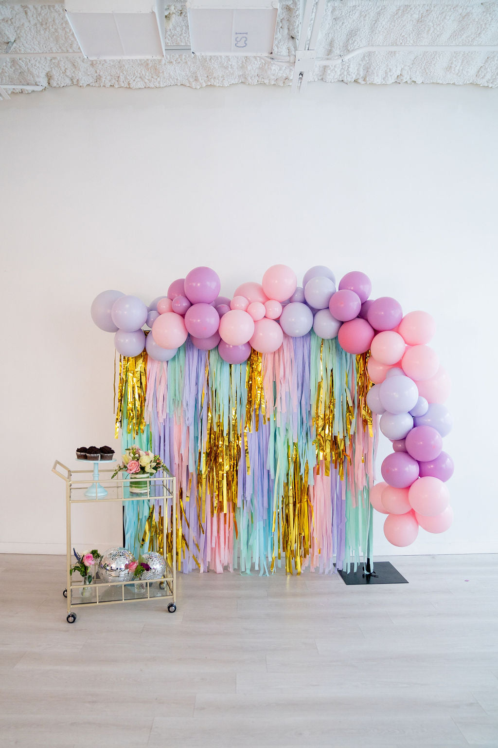 Two Sweet Fringe Backdrop-Backdrops-Oh My Darling Party Co