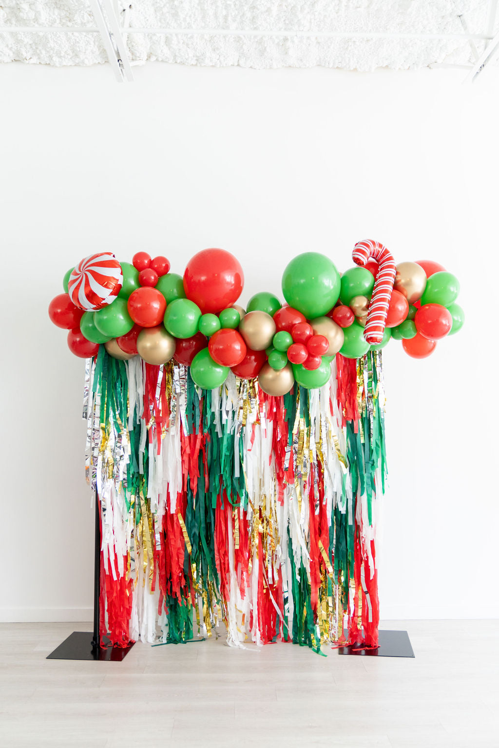 Under The Mistletoe Fringe Backdrop-Backdrops-Oh My Darling Party Co