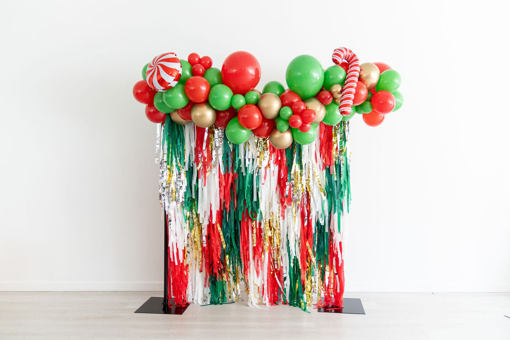 Under The Mistletoe Fringe Backdrop-Backdrops-Oh My Darling Party Co