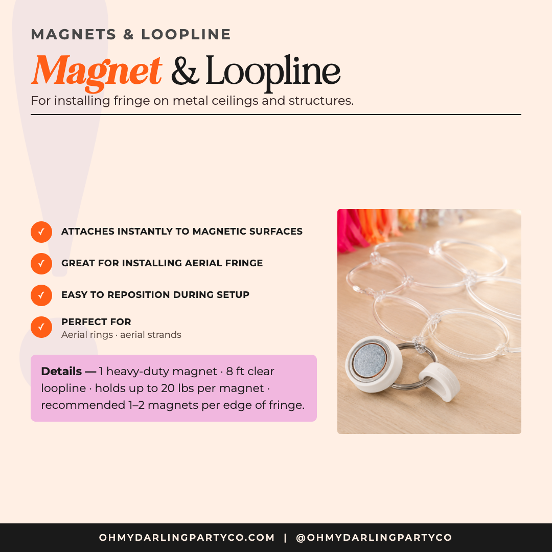 Magnet and loop line overview