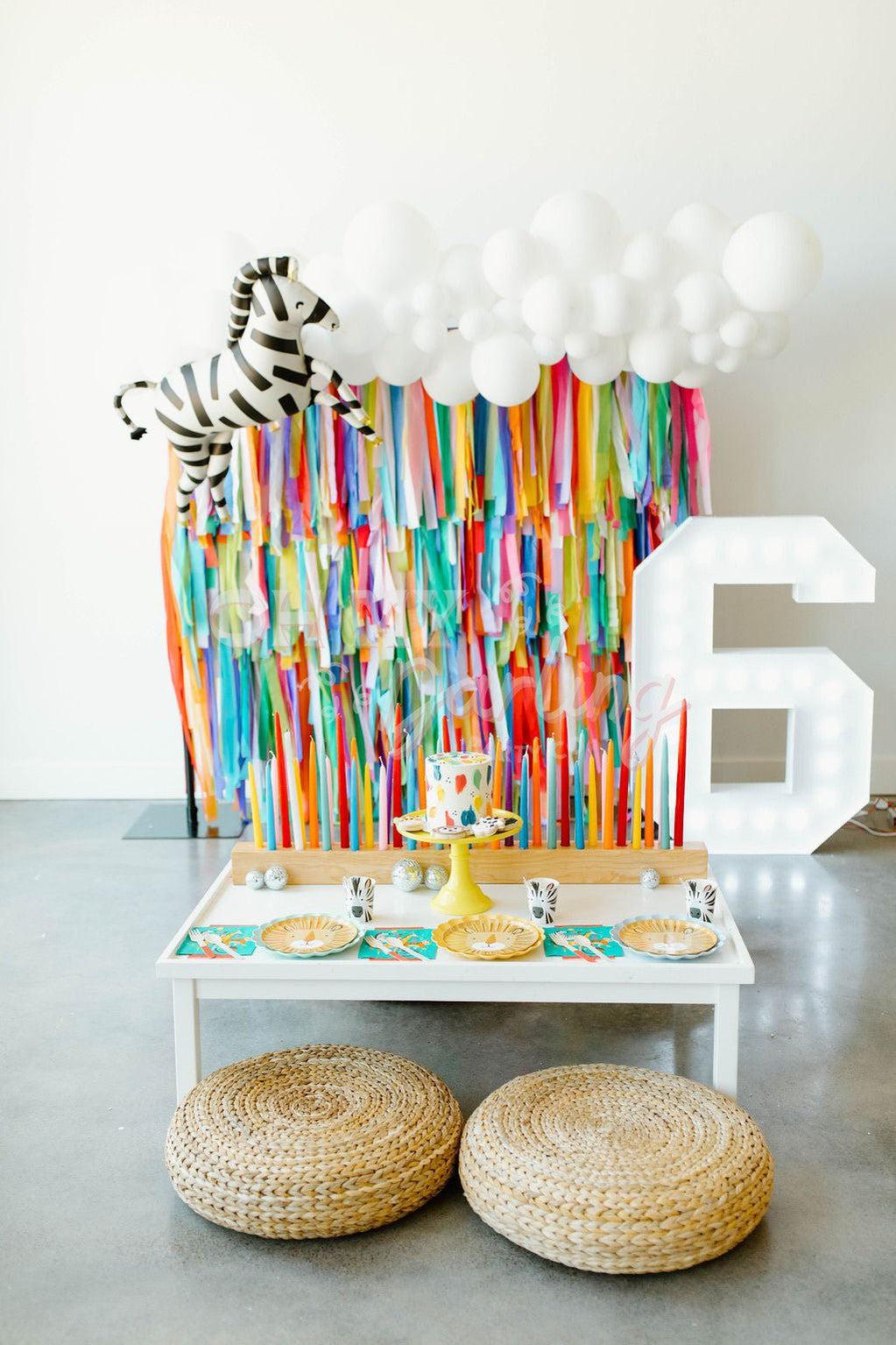 Party Animal Backdrop-Fringe Backdrop-Party Decor-Oh My Darling Party Co-Oh My Darling Party Co-1st birthday decor, Amethyst, baby shower decor, bachelorette, bachelorette backdro, bachelorette party, backdrops for party, balloon garland, balloon garlands, Bermuda, best sellers, Birthday, birthday decor, birthday decorations, birthday party, boho nursery, boho party decor, boho tassel garland, boy party, bridal shower, bright rainbow, Bubblegum, Buttercup, Candy Pink, circus, cochella party decor, colorful 