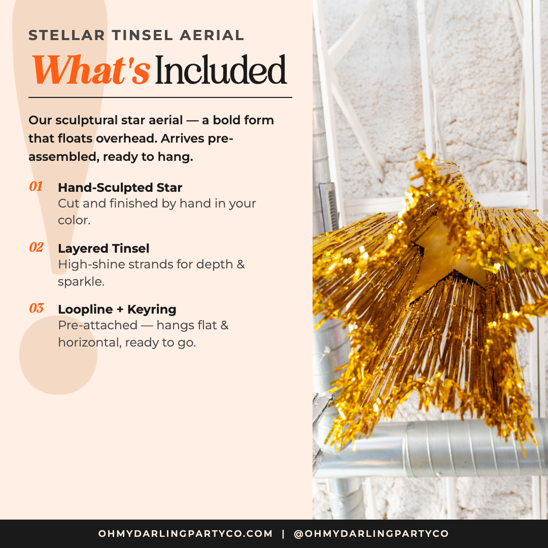 What's included with your Stellar Tinsel Star