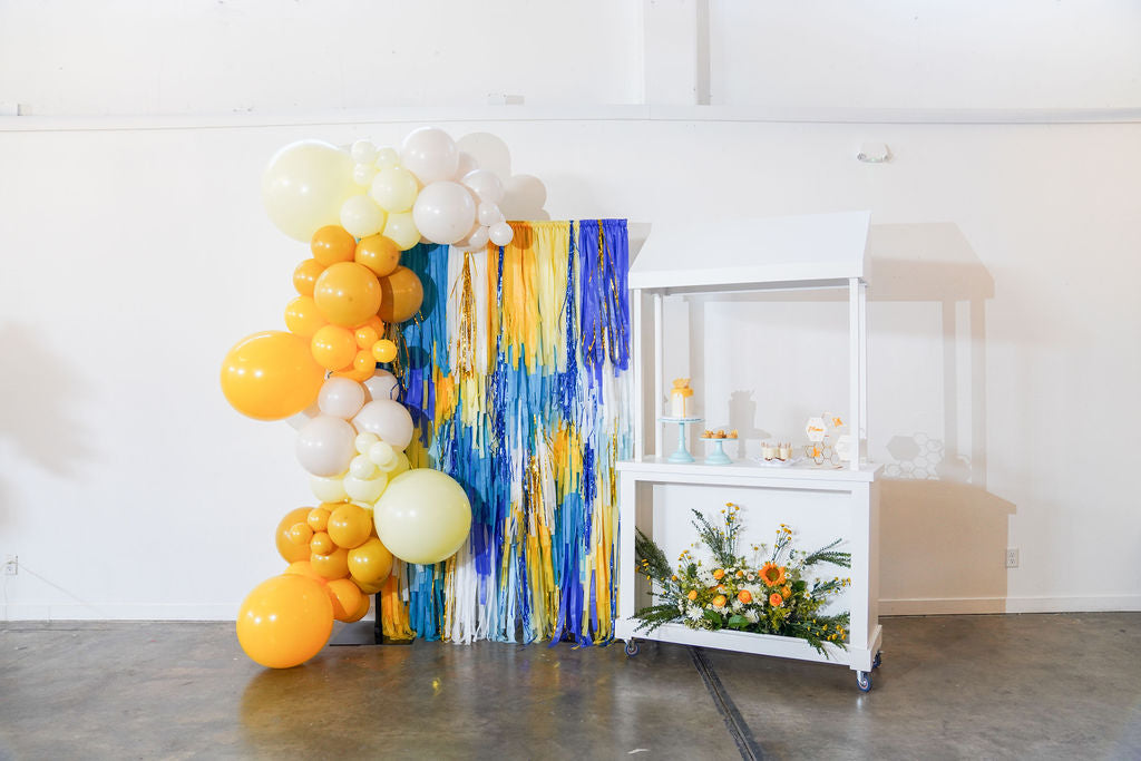 Amalfi Coast Fringe Backdrop-Backdrops-Oh My Darling Party Co