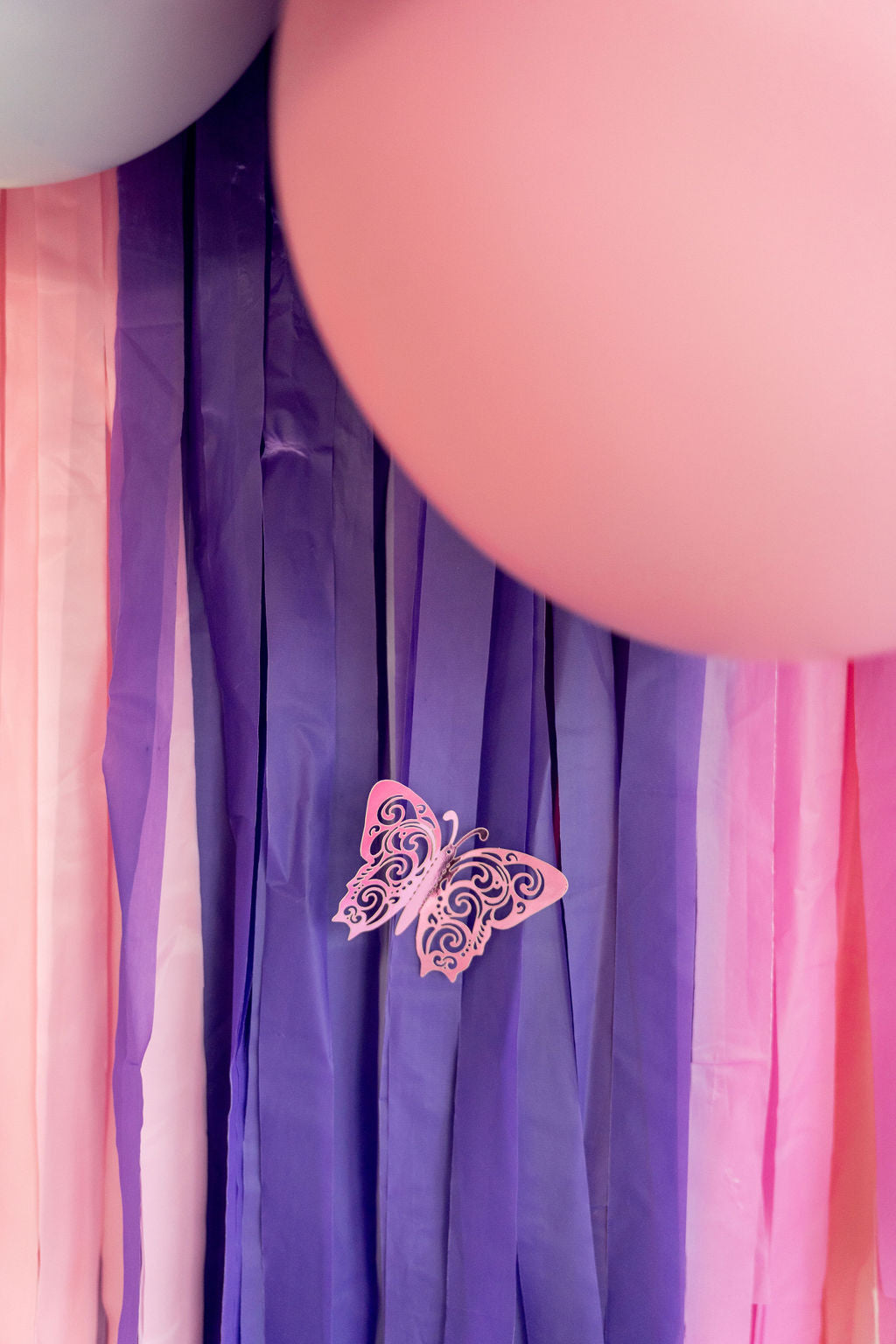 Butterfly Fringe Backdrop-Backdrops-Oh My Darling Party Co