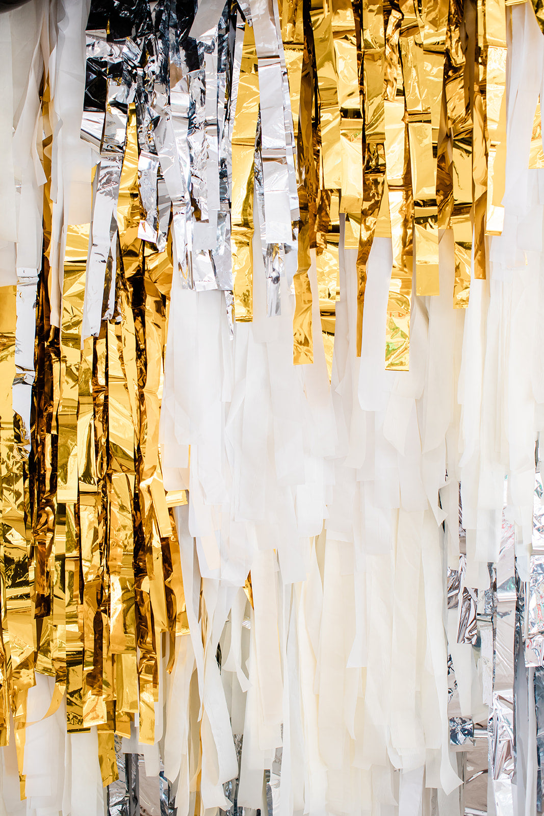 Champagne Wishes Fringe Backdrop-Backdrops-Oh My Darling Party Co