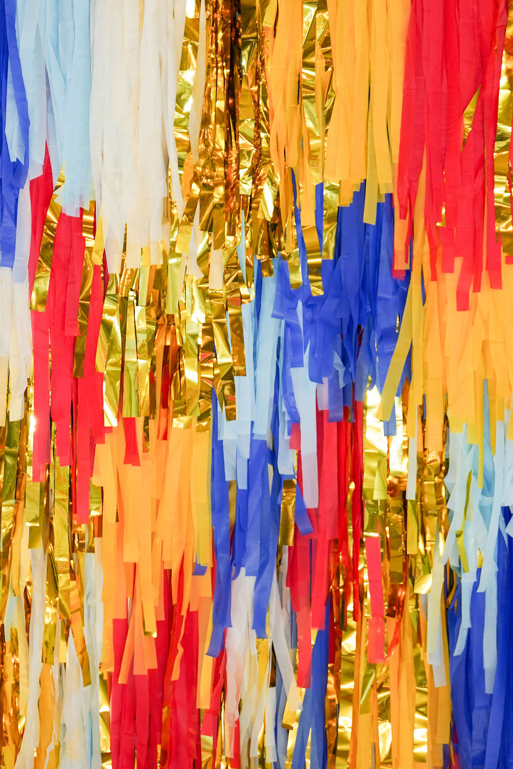 Circus Fringe Backdrop-Backdrops-Oh My Darling Party Co