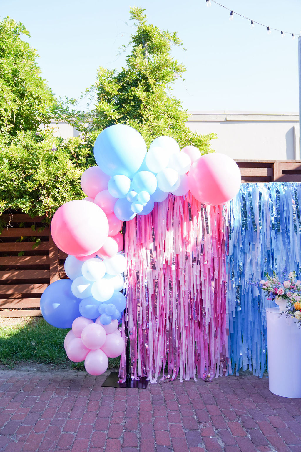 Here For The Sex Fringe Backdrop-Backdrops-Oh My Darling Party Co
