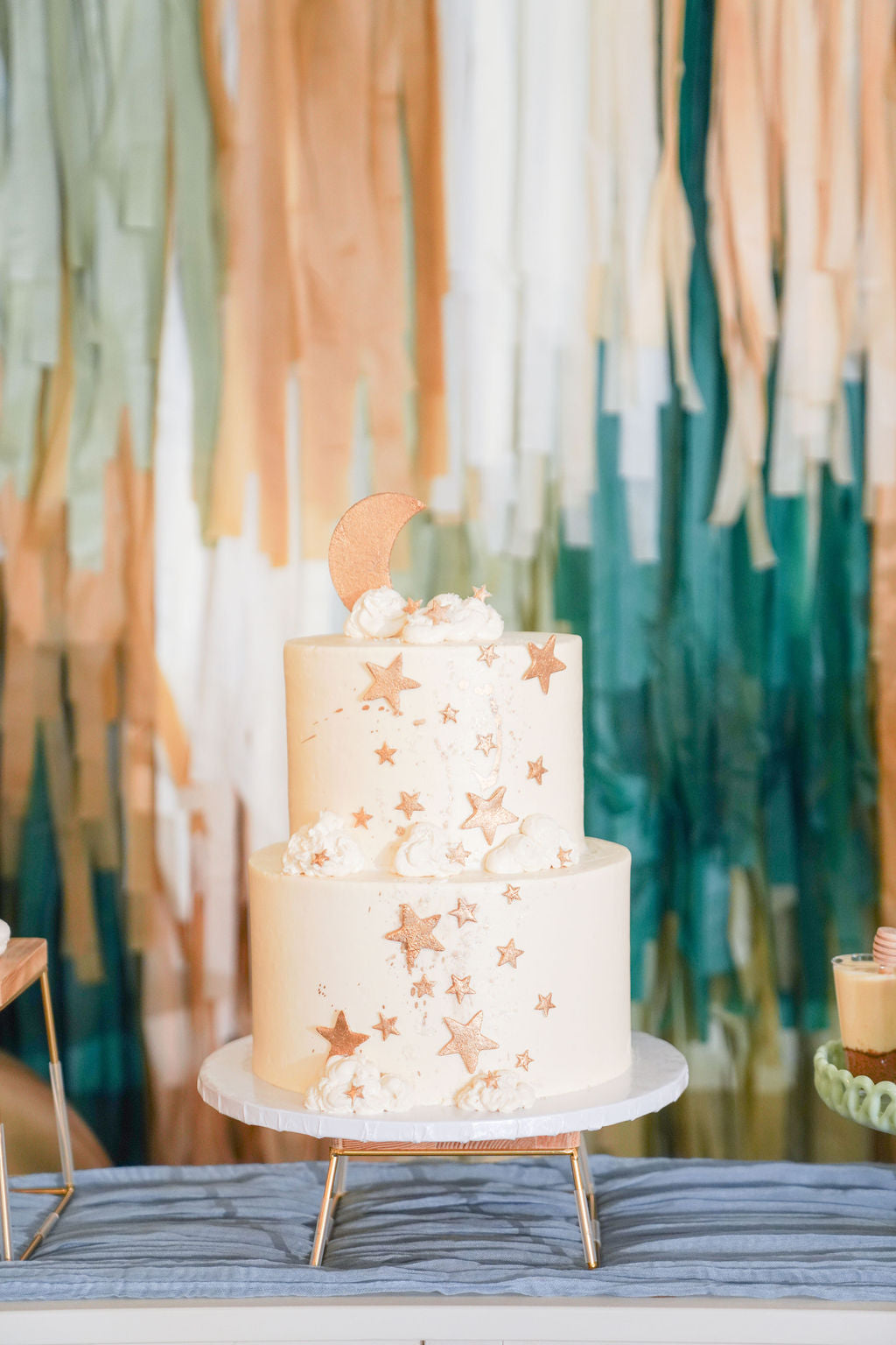Lions, Tigers and Babies, Oh My! Fringe Backdrop-Backdrops-Oh My Darling Party Co