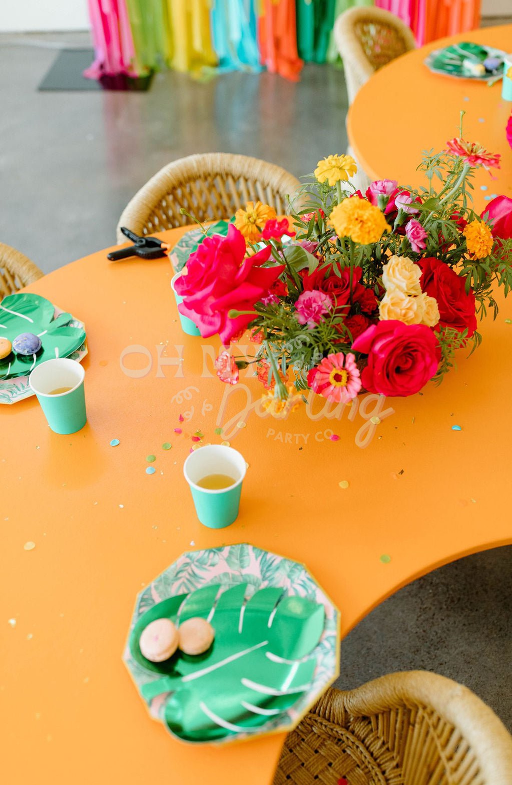 Luau Fringe Backdrop-Backdrops-Oh My Darling Party Co