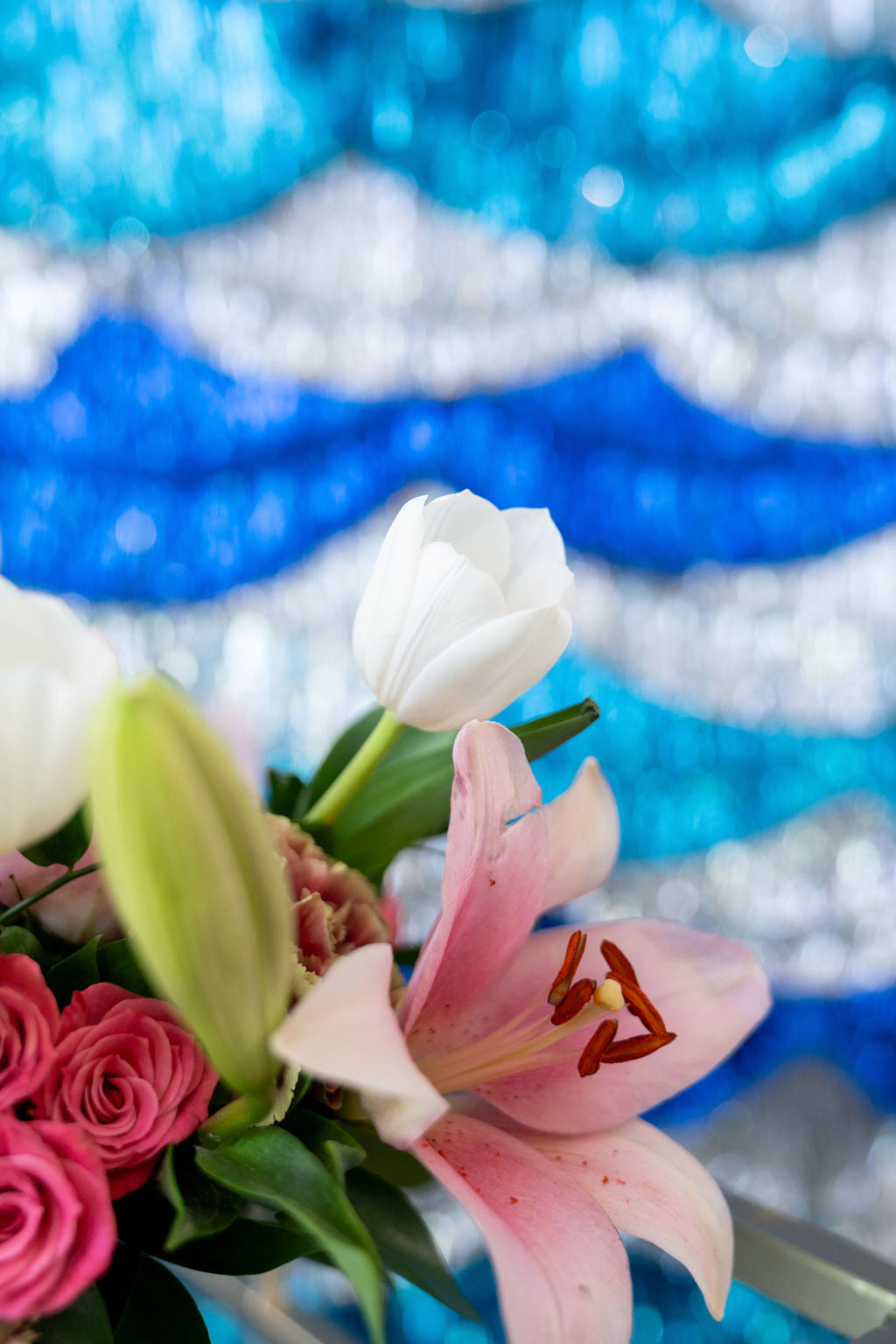Making A Splash Fringe Backdrop-Backdrops-Oh My Darling Party Co