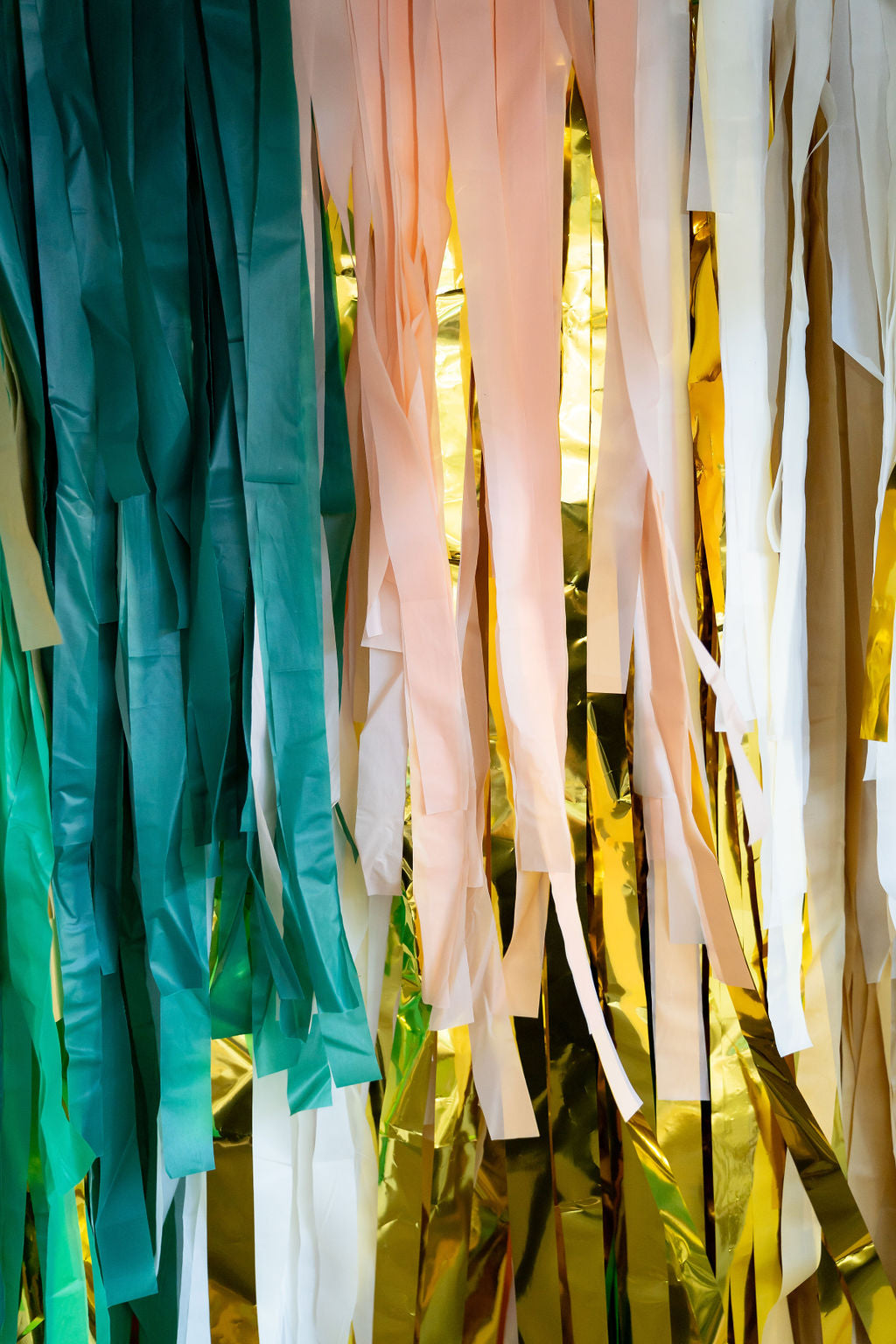 Party In The Wild Fringe Backdrop-Backdrops-Oh My Darling Party Co