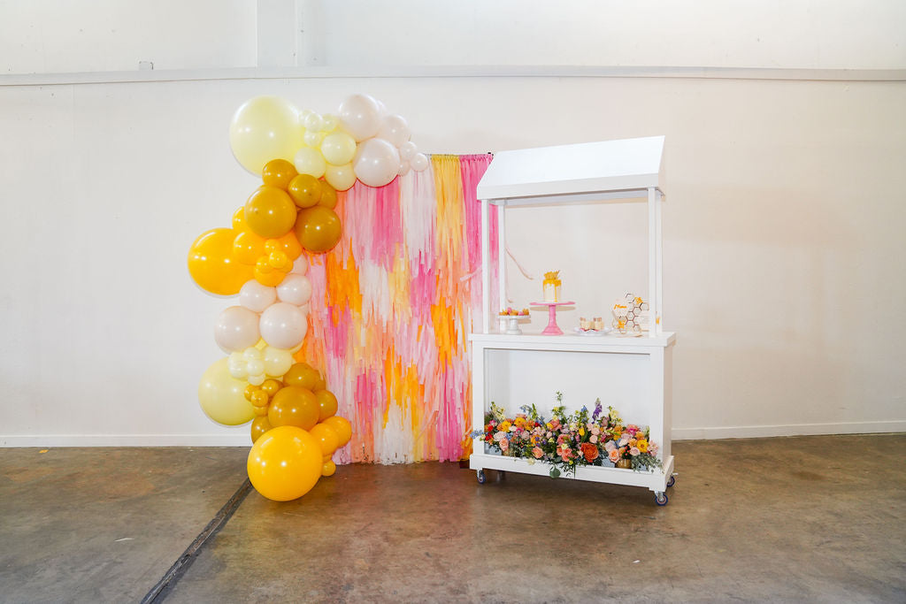 Pink Lemonade Fringe Backdrop-Backdrops-Oh My Darling Party Co