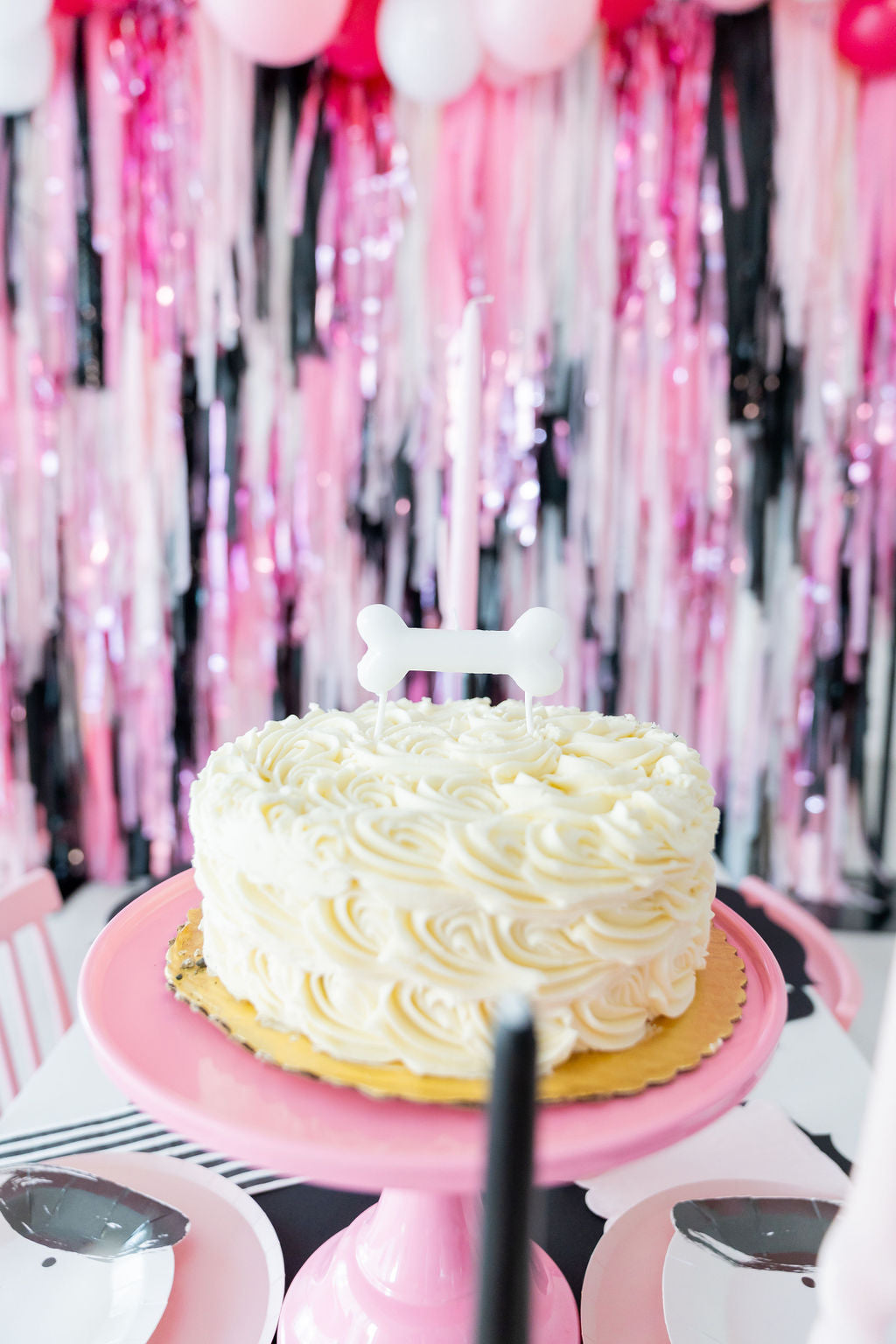 Poodle Party Fringe Backdrop-Backdrops-Oh My Darling Party Co