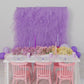 Tulle Fringe Backdrop in Lavender