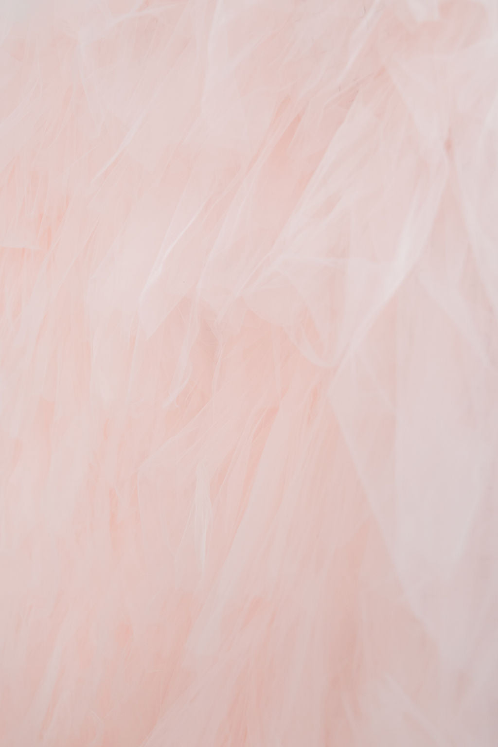 Tulle Fringe Backdrop in Blush-Backdrops-Oh My Darling Party Co