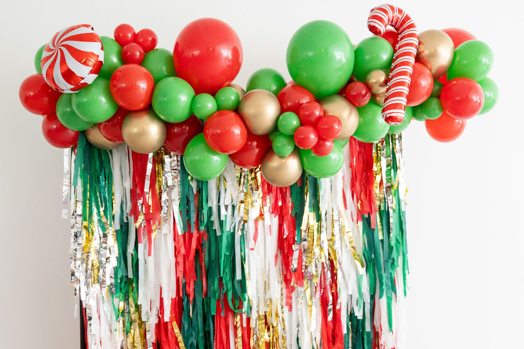 Under The Mistletoe Fringe Backdrop-Backdrops-Oh My Darling Party Co