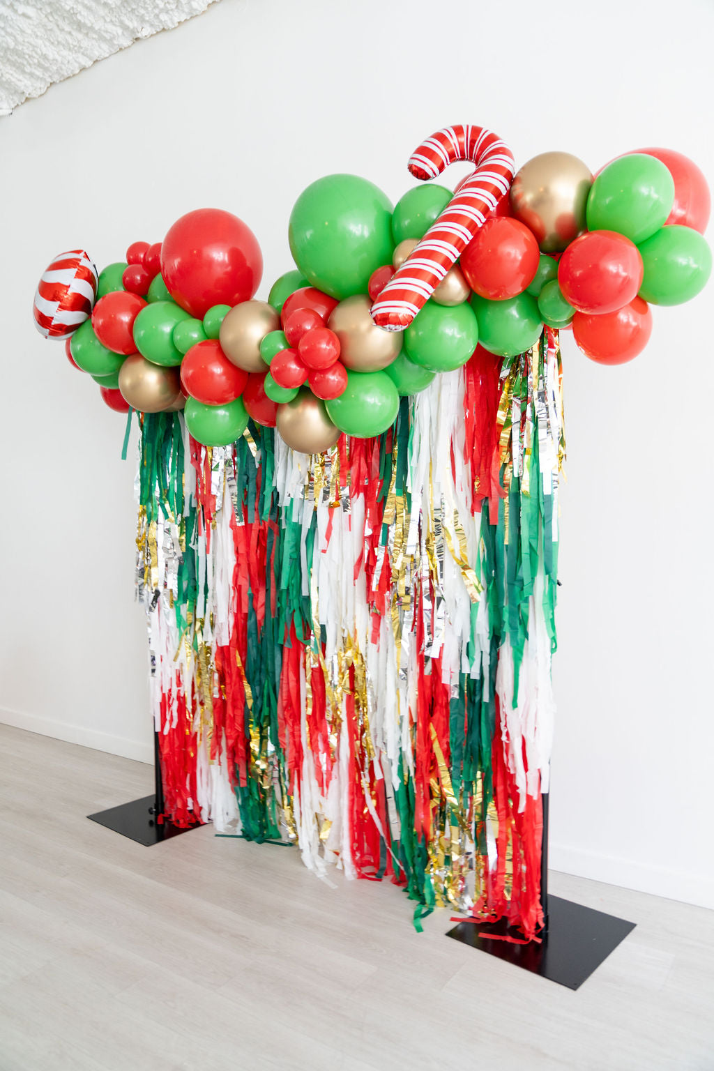 Under The Mistletoe Fringe Backdrop-Backdrops-Oh My Darling Party Co