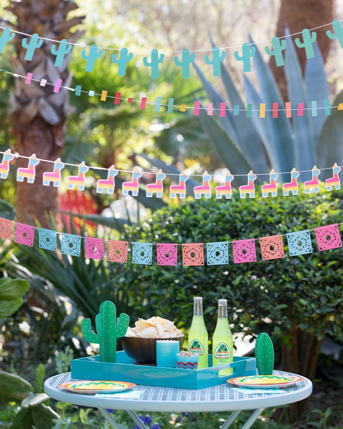 Cactus Banner - Oh My Darling Party Co-bannerbannerscacti #Fringe_Backdrop#
