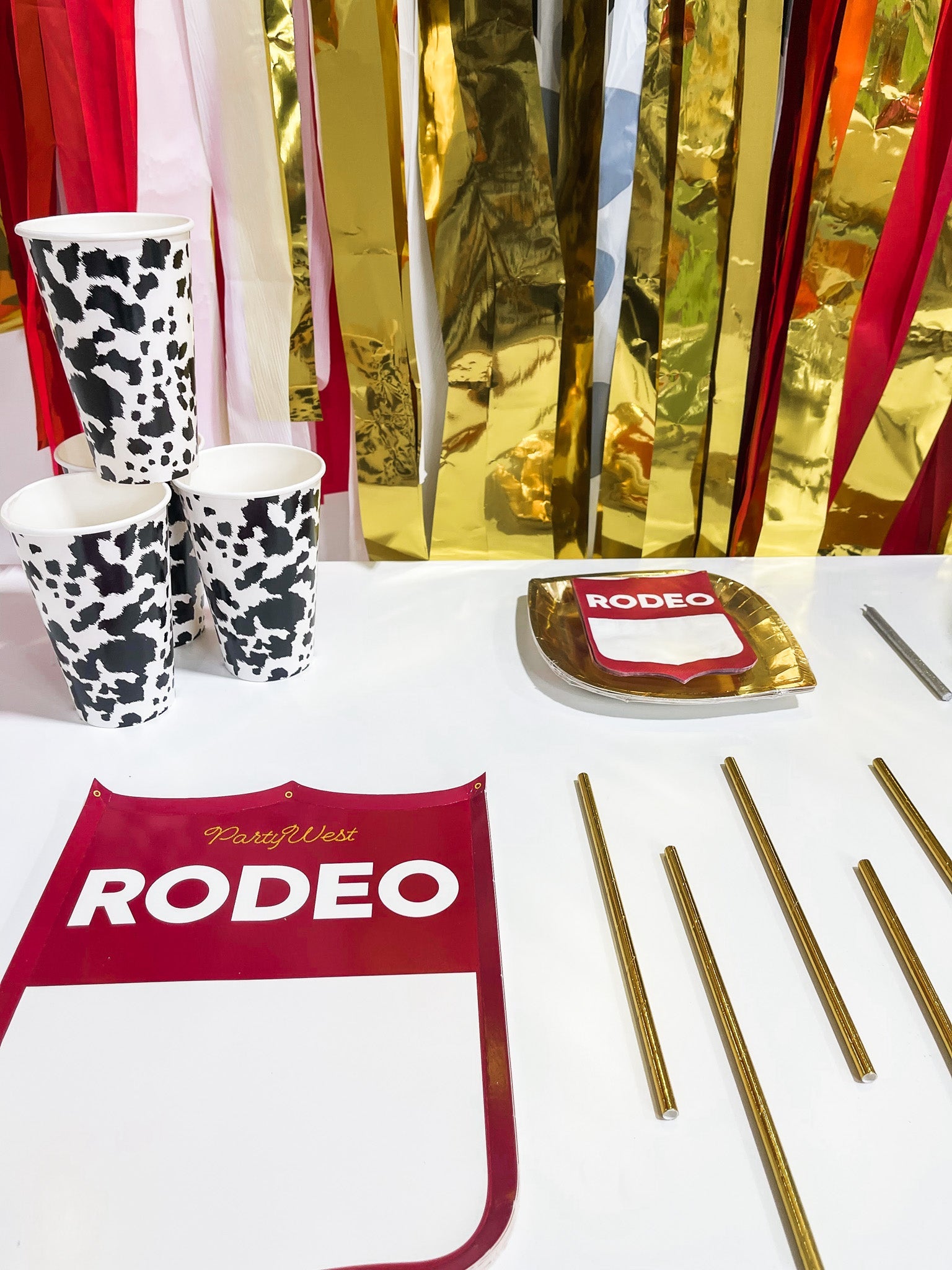 Not My 1st Rodeo Party In A Box - Oh My Darling Party Co- #Fringe_Backdrop#