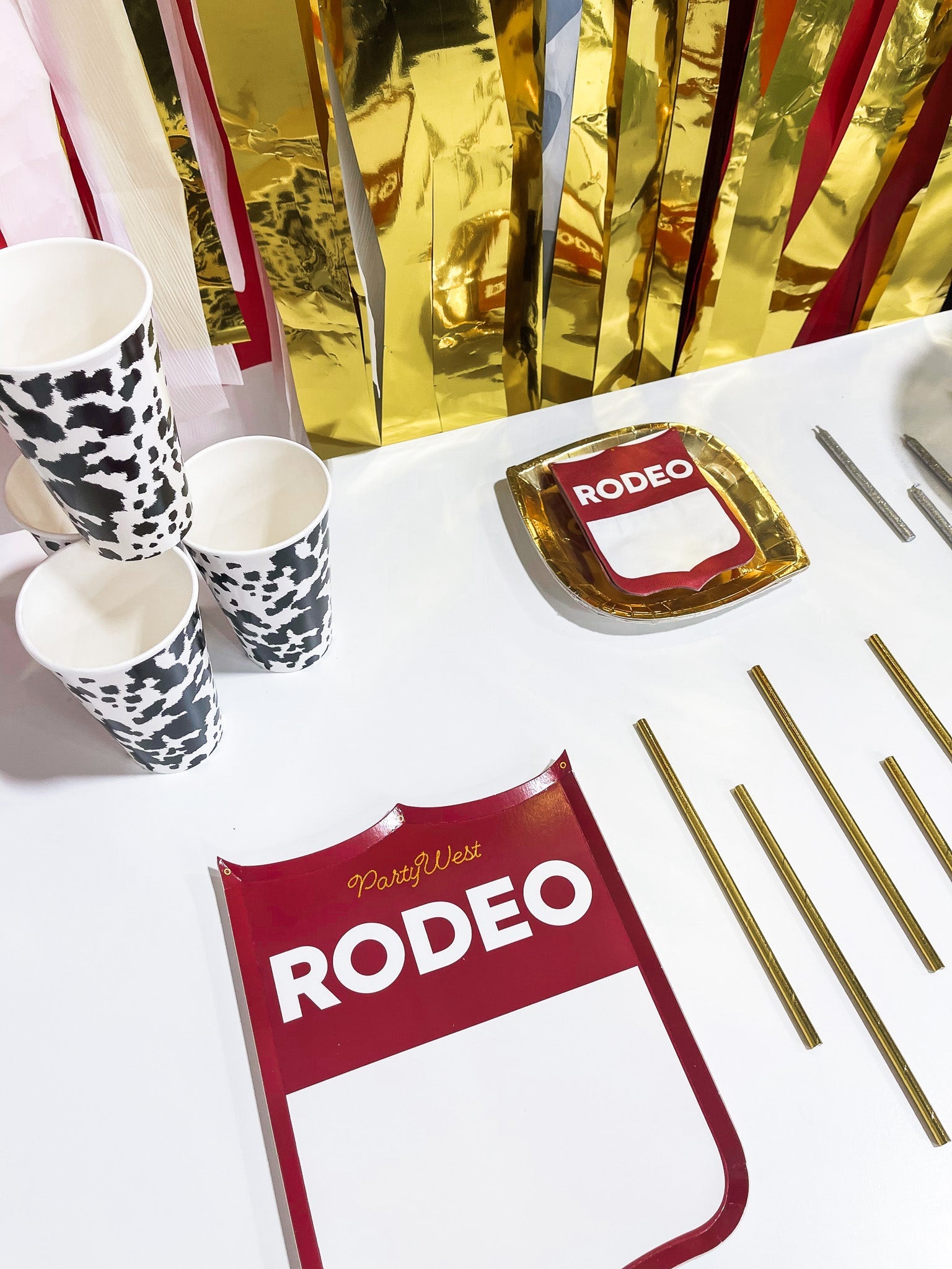 Not My 1st Rodeo Party In A Box - Oh My Darling Party Co- #Fringe_Backdrop#