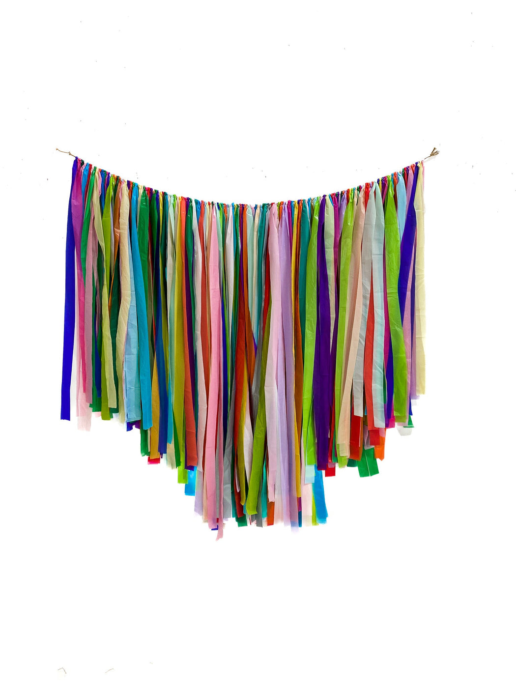 Party Animal Backdrop - Oh My Darling Party Co-AmethystBermudaboy party #Fringe_Backdrop#