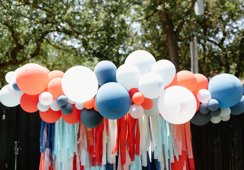 Picnic on the 4th of July Backdrop - Oh My Darling Party Co-birthday boyboy partydefault #Fringe_Backdrop#