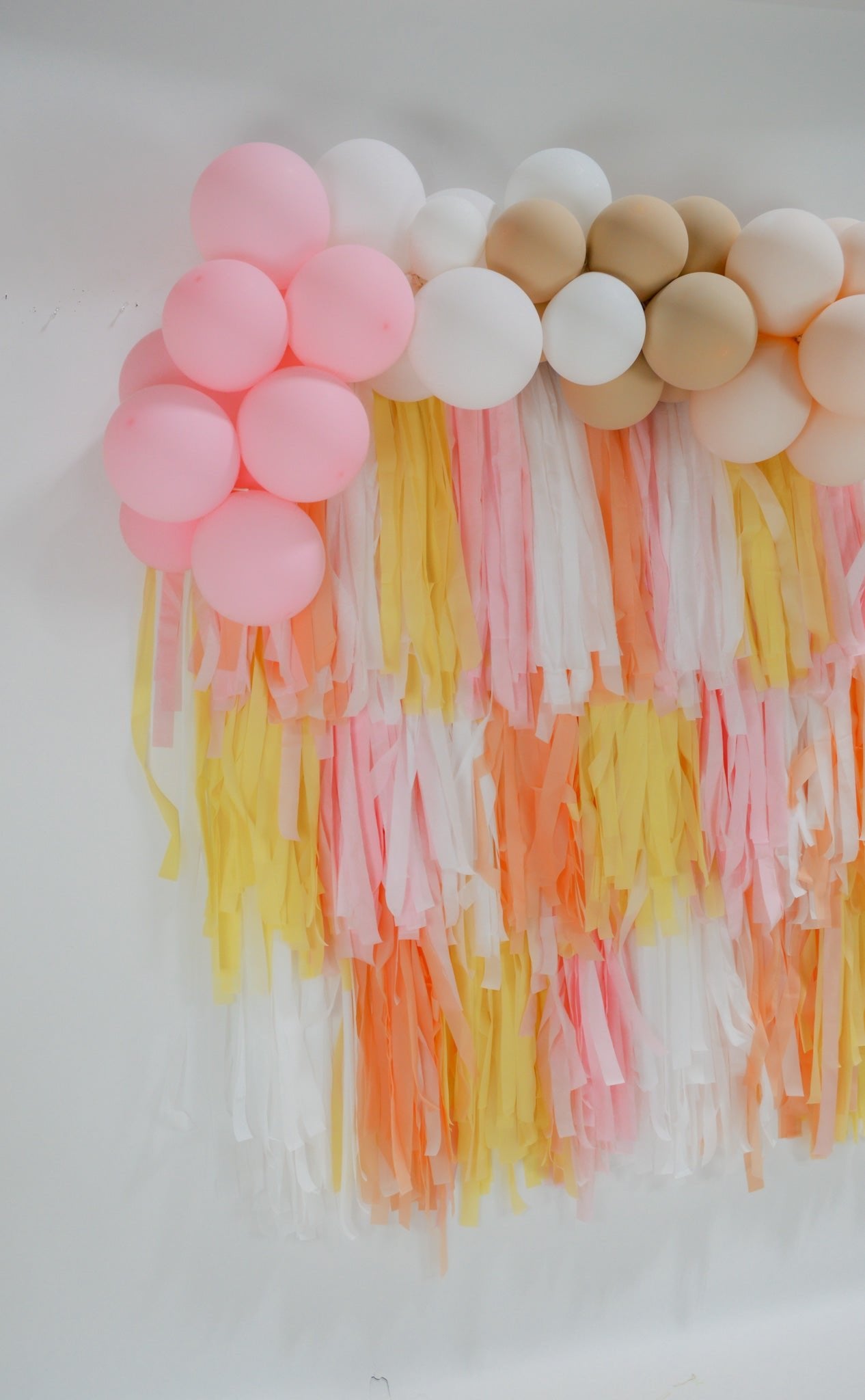 Pink Lemonade Party - Oh My Darling Party Co-blushbuttercupdefault #Fringe_Backdrop#
