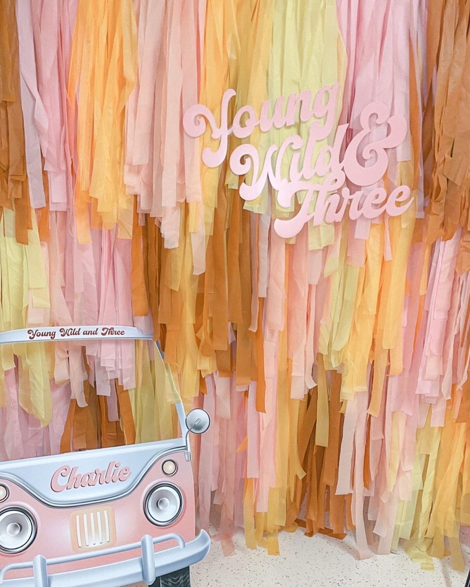 Two Groovy Backdrop - Oh My Darling Party Co-blushbohobuttercup #Fringe_Backdrop#